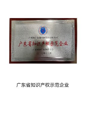 知識(shí)產(chǎn)權(quán)示范